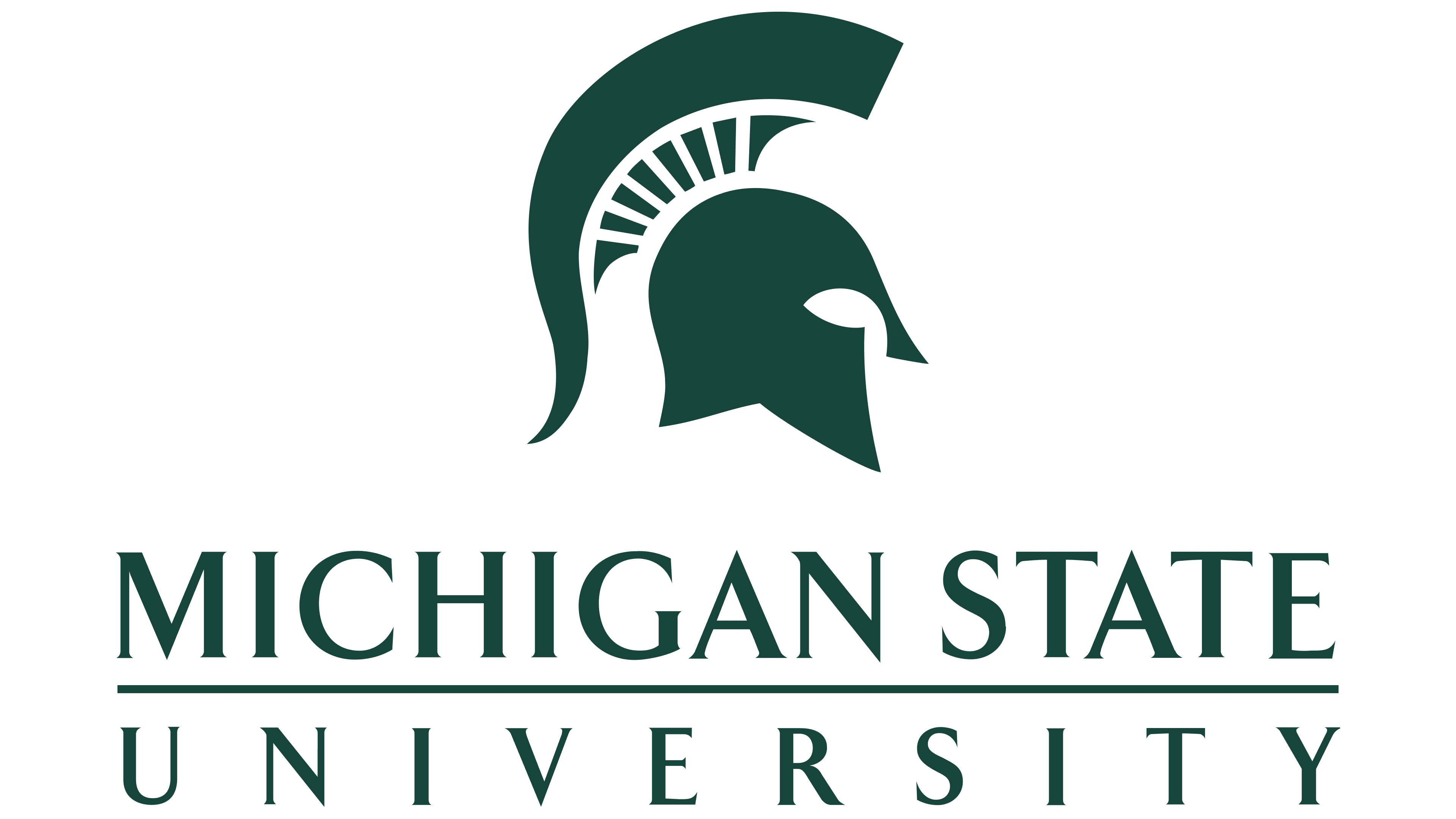 Michigan State