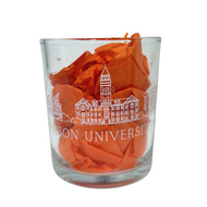 Clemson Skyline DOF Glass