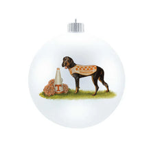 Load image into Gallery viewer, Tennessee Spirit Glass Ball Ornament
