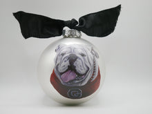 Load image into Gallery viewer, Georgia Mascot Glass Ball Ornament
